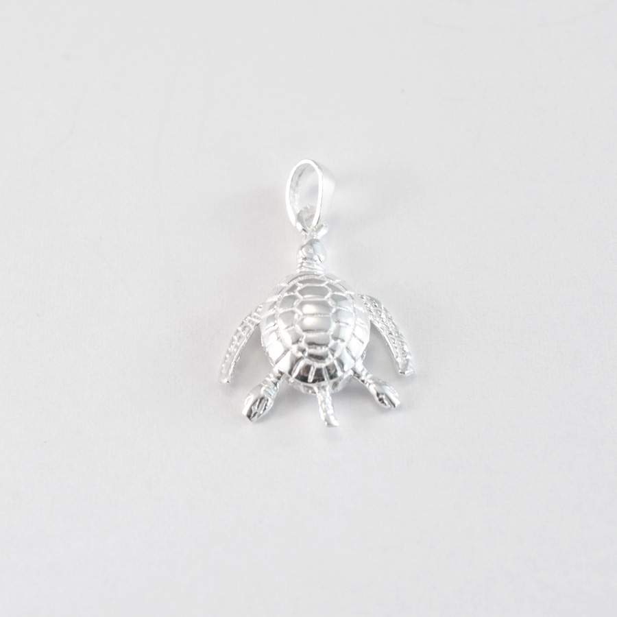 Silver turtle necklace